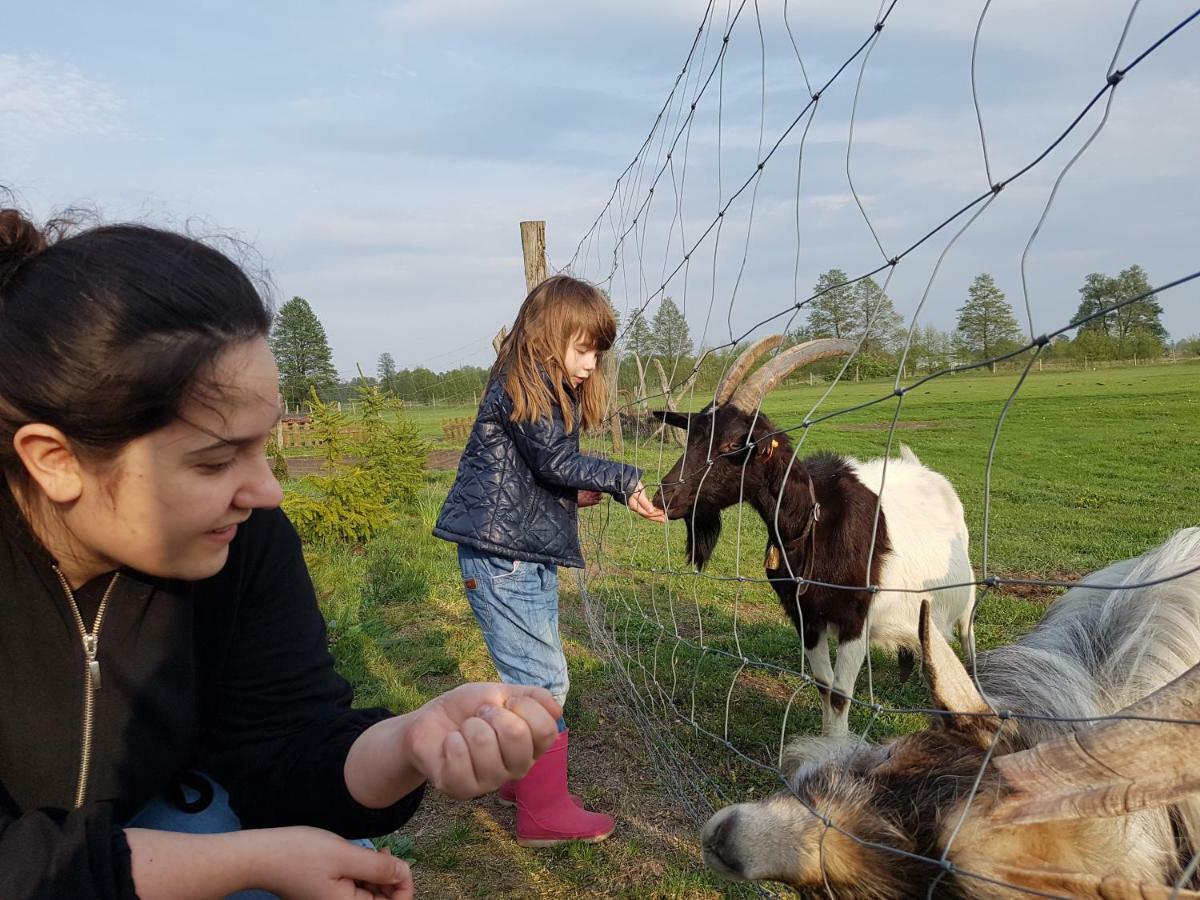 Gospodarstwo "Na Legach" Lubcz Maly Bagian luar foto